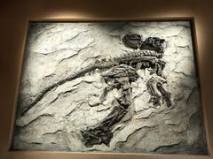 -辽宁古生物博物馆