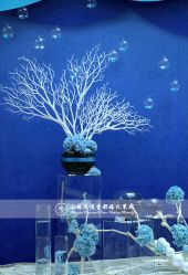 -上海万豪虹桥大酒店·宴会厅