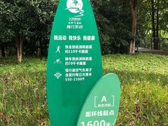 -尚贤河湿地