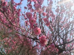 -云漫湖生态度假公园