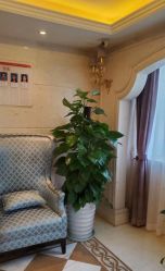 -南宁华美医疗美容医院