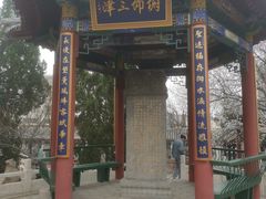 -桃花堤公园
