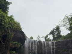 -新加坡飞禽公园