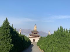 -崇圣寺三塔文化旅游区