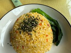 -海南热带野生动植物园
