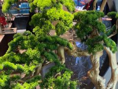 -百富源·海鲜辽菜(和平北大街店)