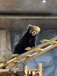 -Zoolung Zoolung动物主题公园(海信广场店)