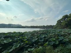 -湖畔居茶楼(湖滨店)