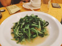 鸡毛菜炒百叶-鹿港小镇经典老上海菜(长乐路店)