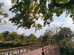 -广州莲花山旅游区