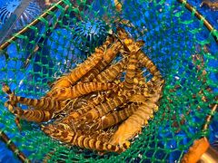 -上和臻品中国菜(花园街店)