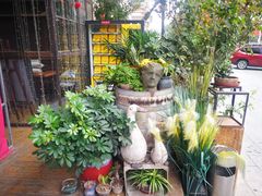 -胡桃里音乐酒馆(石家庄店)