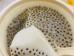 双皮奶-文昌邓记清补凉(西沙路店)