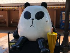 -九龙公园