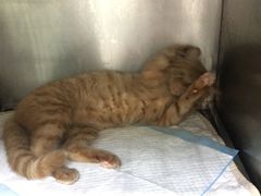 -惠康宠物医院(华能路店)