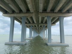 -宝安西湾红树林湿地公园