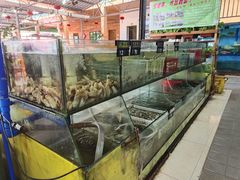 水产区-岛中岛·海鲜大排档·万宁老字号(东澳店)