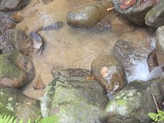 -七仙岭君澜度假酒店