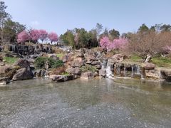 -秀丽东方