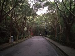 -滴水岩森林公园