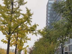 -烟台金沙滩喜来登度假酒店
