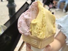 -柠檬车露(卖草地店)