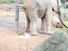 -乐和乐都主题乐园