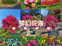 -东莞植物园