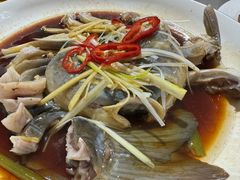 -煲来饱去冷水鱼