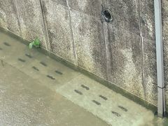 -西湖文化广场