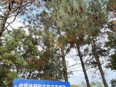 -鄱阳湖国家湿地公园
