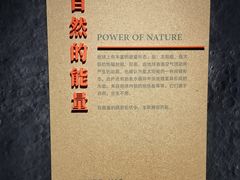 -四川大学博物馆