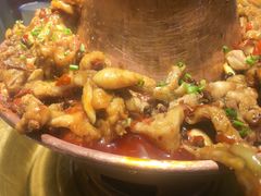 -沪小二炭火蛙锅(淮海中路美食不夜城店)