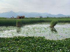 -敕勒川草原文化旅游区