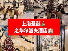 -上海外滩华尔道夫酒店