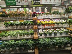 -鹿岛生活(熙地港店)