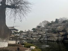 -中国唐苑