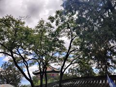 -颐和园