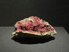 -山东博物馆