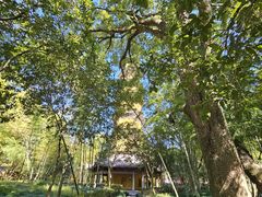 -阿育王寺