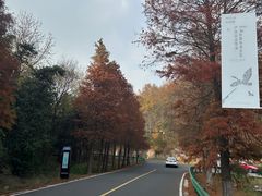 -南京市无想山景区