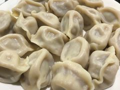羊肉西葫水饺-来顺成饭庄