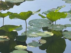 -承德避暑山庄景区