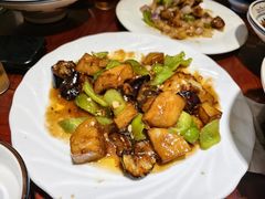-邵年鸽(杨庄店)