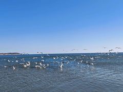 -老虎石海上公园