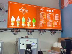 -萨朗刀克冰淇淋雪花凉(植物园店)