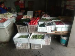 -岳各庄批发市场(西四环中路店)