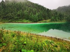 -武陵山森林公园