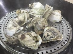 桑拿蚝-蚝专家(北滘店)