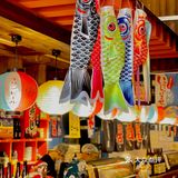 年会探店｜鹿鹿那么可爱，怎么可以吃鹿鹿[惊恐]